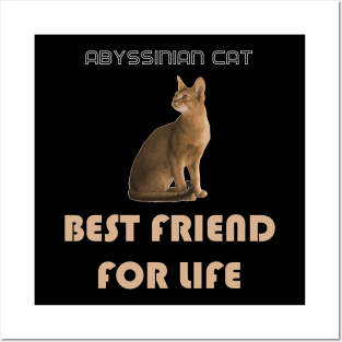 Abyssinian Cat Best Friend for Life Posters and Art